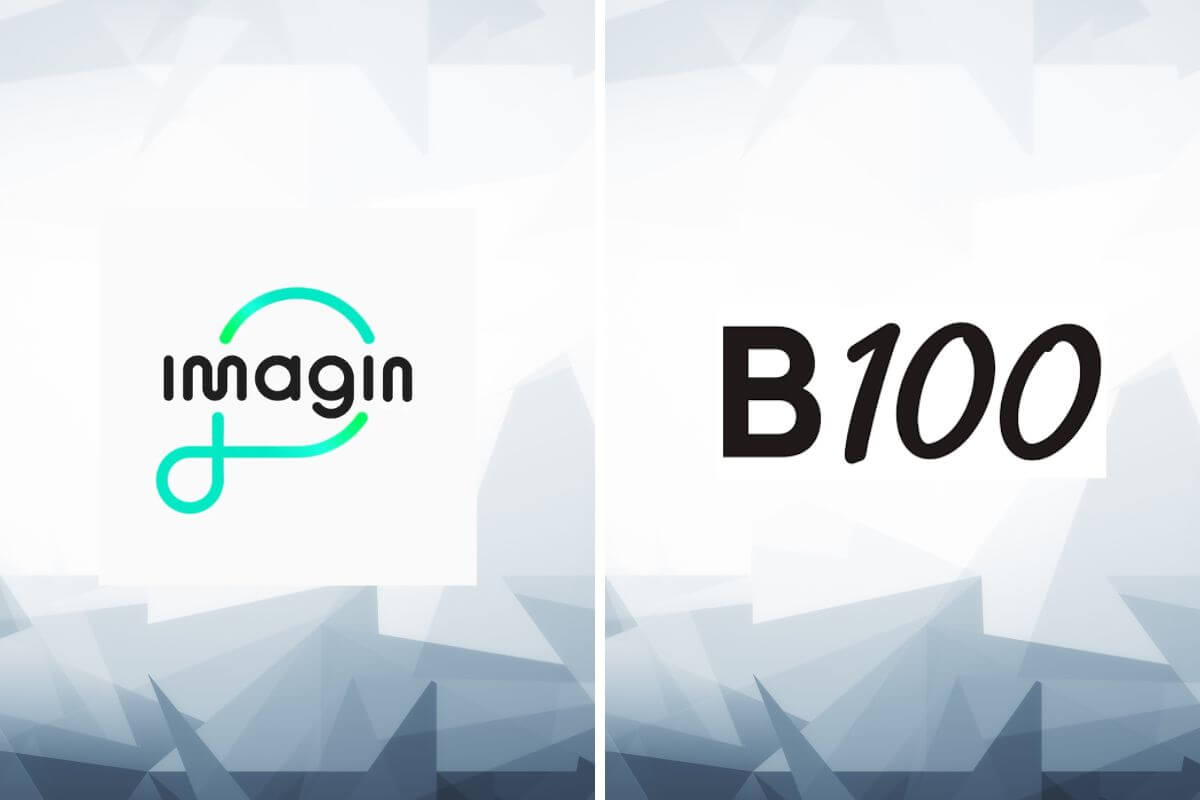 Imagin vs B100