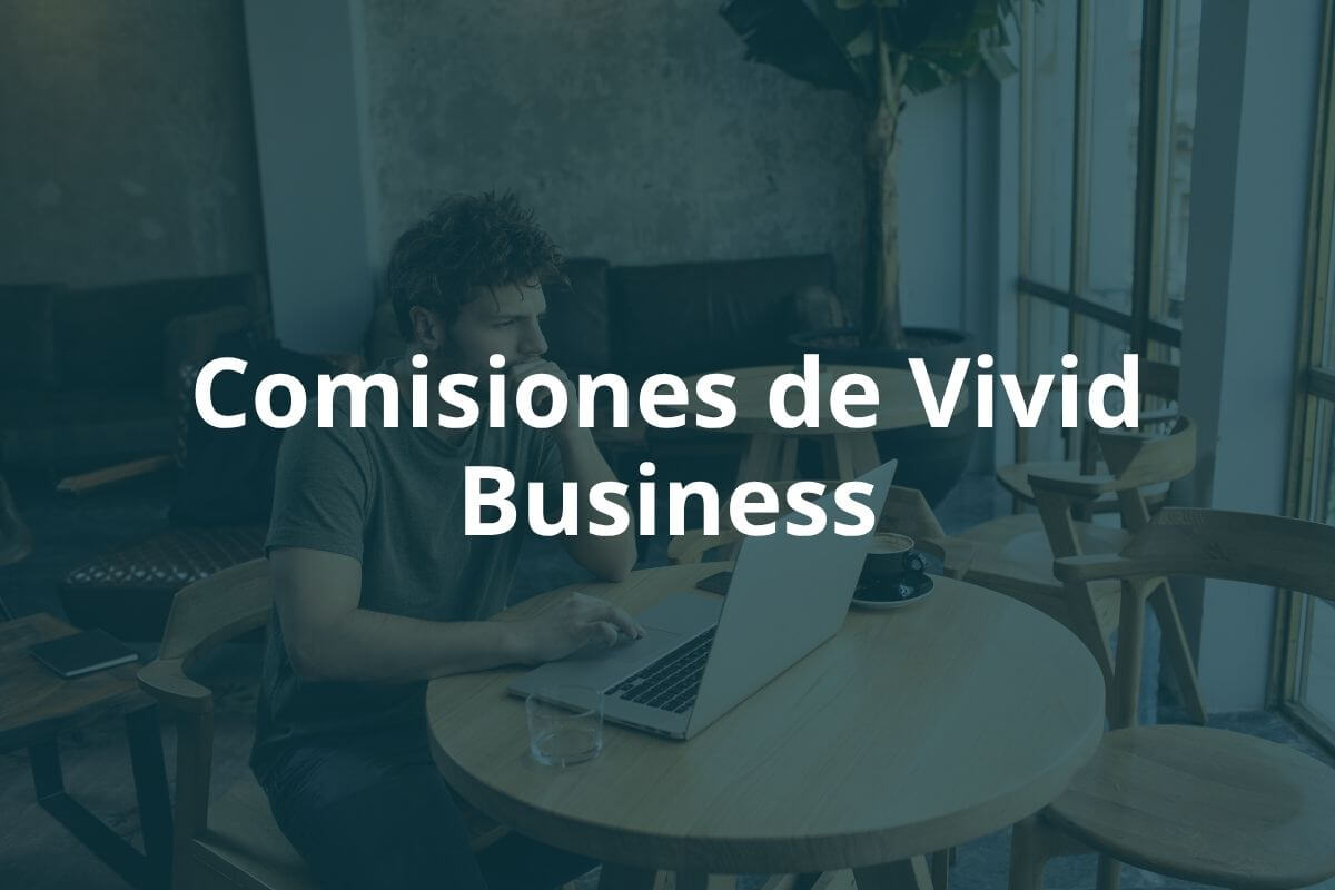 Comisiones de Vivid Business