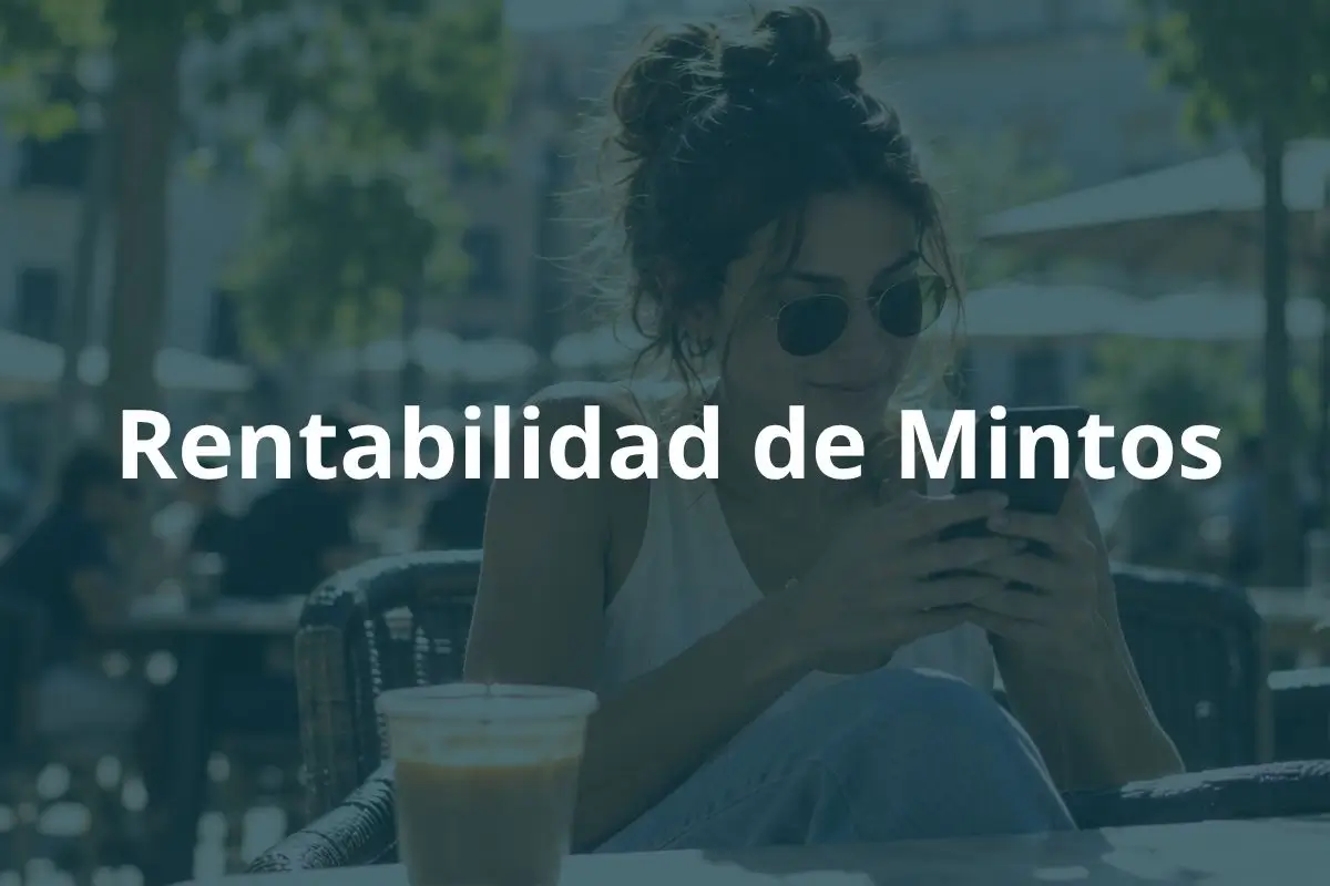 Rentabilidad de Mintos